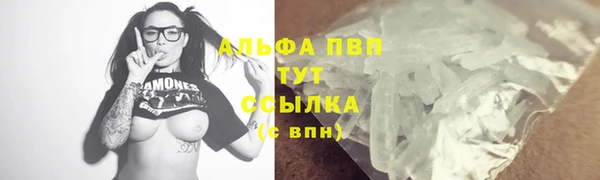 стаф Беломорск