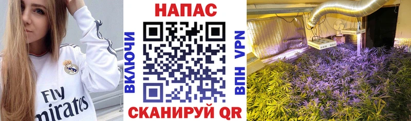 как найти закладки  Котельники  Шишки марихуана AK-47 